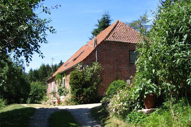 Beispiel 1